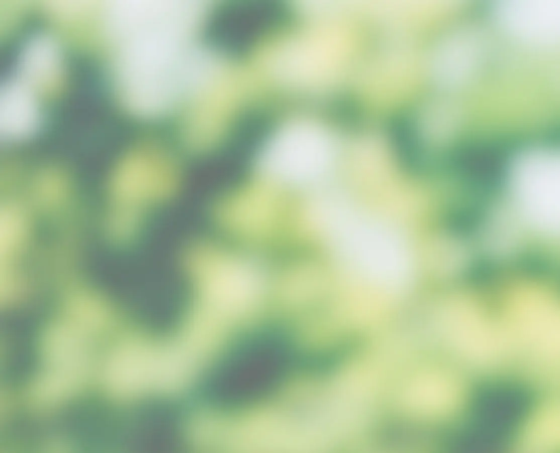 プライバシーポリシー